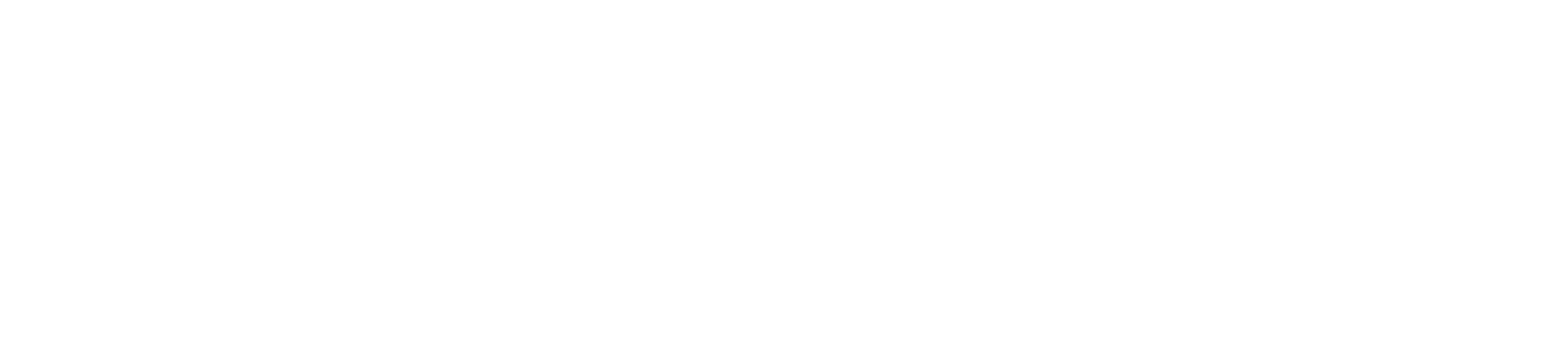 HIRABERG LLC